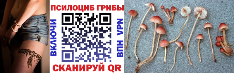 как найти Мензелинск маркетплейс Telegram Галлюциногенные грибы MAGIC MUSHROOMS